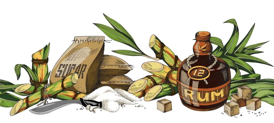 Hand-drawn semless vector illustration of sugar cane, cane sugar and bottle of Stock Illustration