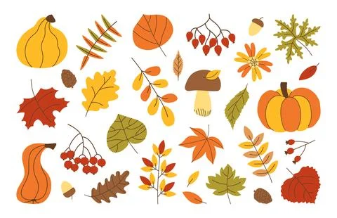 Hand drawn Set Autumn elements. Bright doodle Fall leaves mushroom berries oa 스톡 일러스트