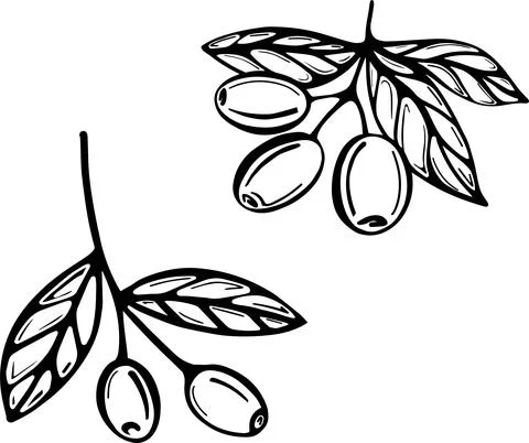 A hand-drawn set of branches with olives Stock Illustration