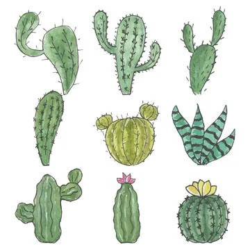Hand drawn set of cacti Stock Illustration