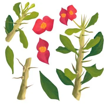 Hand drawn set of cactus elements, tree cactus, trunk, spines, leaves, flower Illustrazione stock