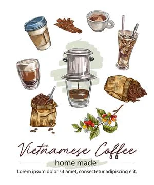Hand drawn set of coffee beans, coffee cups with vietnamese coffee drip. vect Stock Illustration