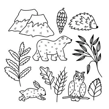 Hand drawn set of cute children's illustrations. Collection of forest animals Illustrazione stock