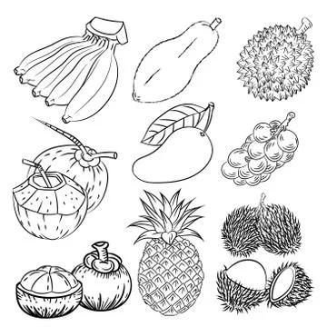 Hand drawn set of different tropical fruits-Vector sketch Design Stock Illustration