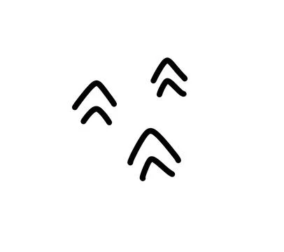 Hand drawn set elements, Abstract arrows in doodle style for concept designs Illustrazione stock