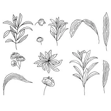 Hand drawn set of flowers Illustrazione stock