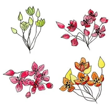 Hand drawn set of flowers Stock Illustration
