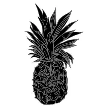 Hand drawn set illustrations of ripe pineapples. Exotic tropical fruit vector Stock Illustration