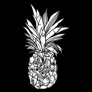 Hand drawn set illustrations of ripe pineapples. Exotic tropical fruit vector Illustrazione stock
