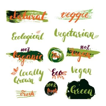 Hand drawn set of modern ink brush pen calligraphy - natural, veggie, ecologi Stock Illustration