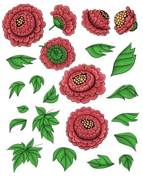 Hand drawn set of peonies Stock Illustration