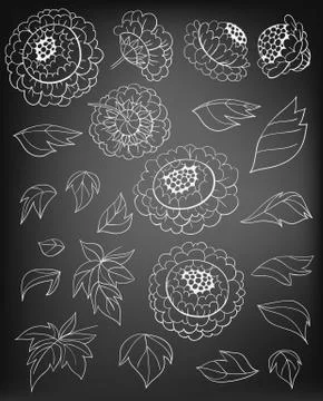 Hand drawn set of peonies Stock Illustration