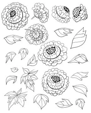 Hand drawn set of peonies Stock Illustration