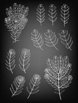 Hand drawn set of plants Stock Illustration