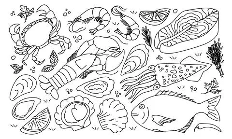 Hand drawn set of seafood elements. Doodle sketch style. Sea food element. Stock Illustration