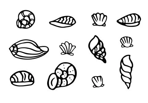 Hand drawn set of seashells icons in Scandinavian style. 스톡 일러스트