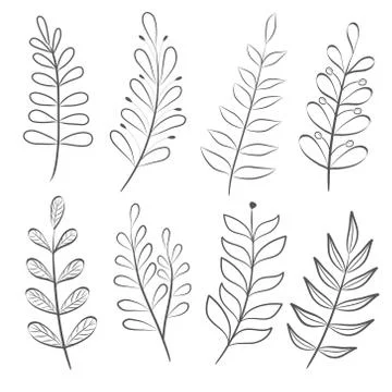 Hand drawn set of tree branches, collection of floral elements, stock vector Stock Illustration