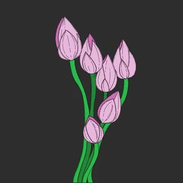 Hand drawn set of tulips branches. Flower isolated on white background Illustrazione stock