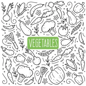 Hand drawn set of vegetables. Vector illustration of doodle skecth style. Stock Illustration