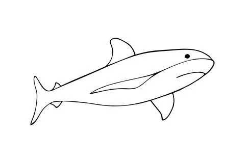 A hand-drawn shark illustration, predator. Isolated on white background. Stock Illustration