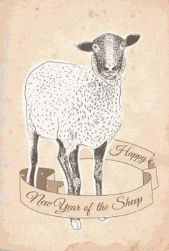 Hand drawn sheep Stock Illustration