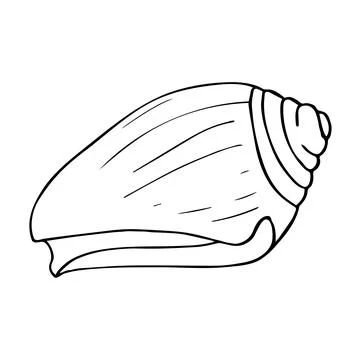 Hand drawn shellfish for marine and nautical themed designyster. Hand drawn.. Stock Illustration