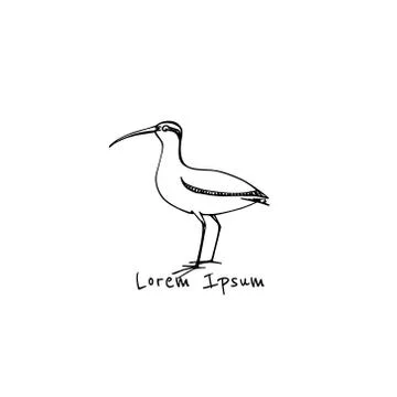 Hand drawn shorebird Stock Illustration