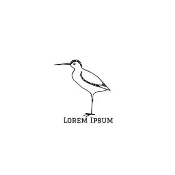 Hand drawn shorebird Stock Illustration