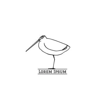 Hand drawn shorebird Stock Illustration