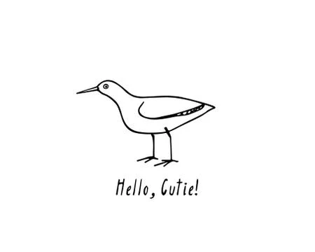 Hand drawn shorebird Stock Illustration