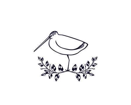 Hand drawn shorebird Stock Illustration