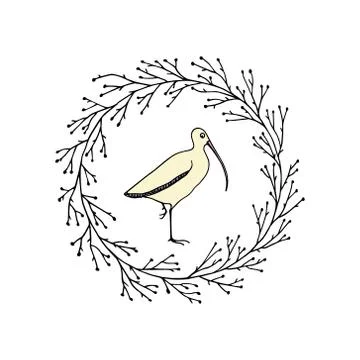 Hand drawn shorebird Stock Illustration