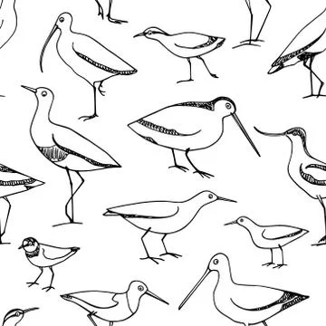 Hand drawn shorebird pattern Stock Illustration
