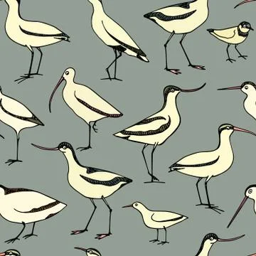 Hand drawn shorebird pattern Stock Illustration