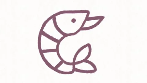 Hand Drawn Shrimp Icon Animation Stock Footage 338000164