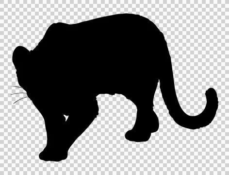Hand drawn silhouette illustration of Clouded Leopard Stock Illustration