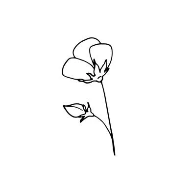 Hand-drawn simple flower Stock Illustration