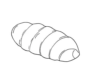 Hand-drawn simple rolled bun Stock Illustration