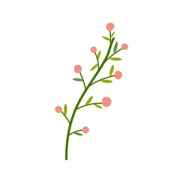 Hand drawn simple vector with berries, spring summer plant on white isolate.. Stockillustratie
