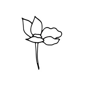 Hand-drawn Single spring flower. Botanical element for design, postcard, pr.. Stock Illustration