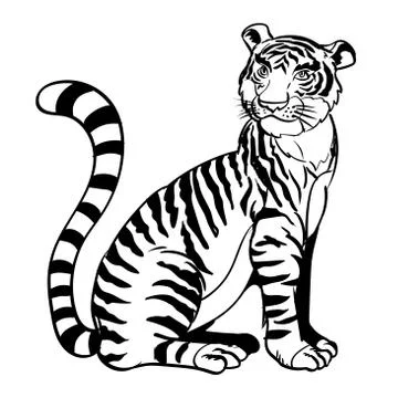 Hand drawn Sitting tiger-Vector Illustration Stock Illustration