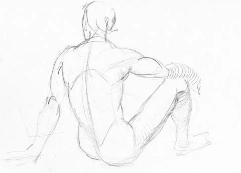 Hand-drawn sketch of back of sitting male model 스톡 일러스트