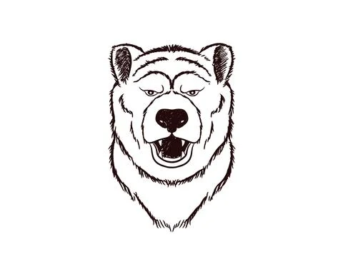 Hand drawn sketch of bear head in retro style Stock Illustration