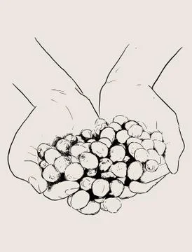 Hand drawn sketch. Stock Illustration