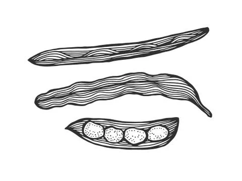 Hand drawn sketch イラスト素材