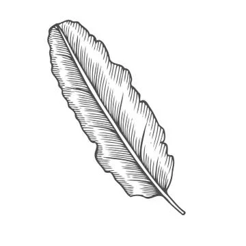 Hand Drawn Sketch Illustrazione stock