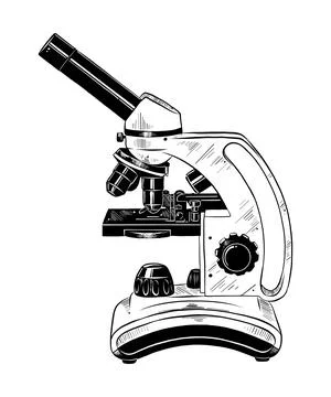 Hand drawn sketch of microscope in black isolated on white background. Stock Illustration