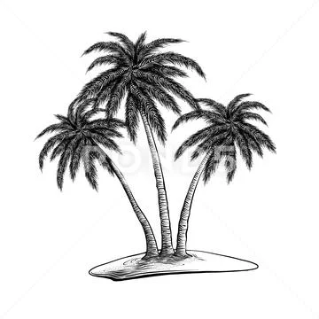 Palm Trees Sketch Monochrome Vintage Royalty Free SVG, Cliparts, Vectors,  and Stock Illustration. Image 187349962.
