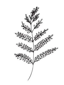 Hand-drawn sketch of a plant, isolated on white background Stock Illustration