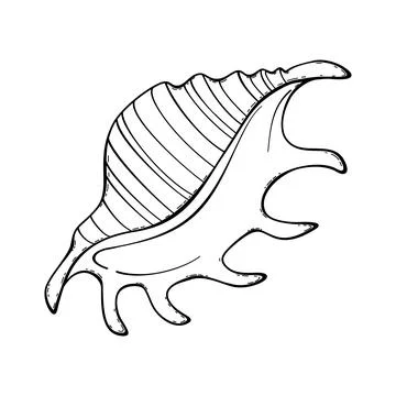 Hand drawn sketch sea shell-4 Illustrazione stock